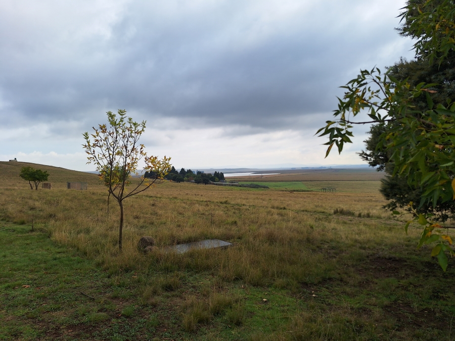 11 Bedroom Property for Sale in Vrede Free State